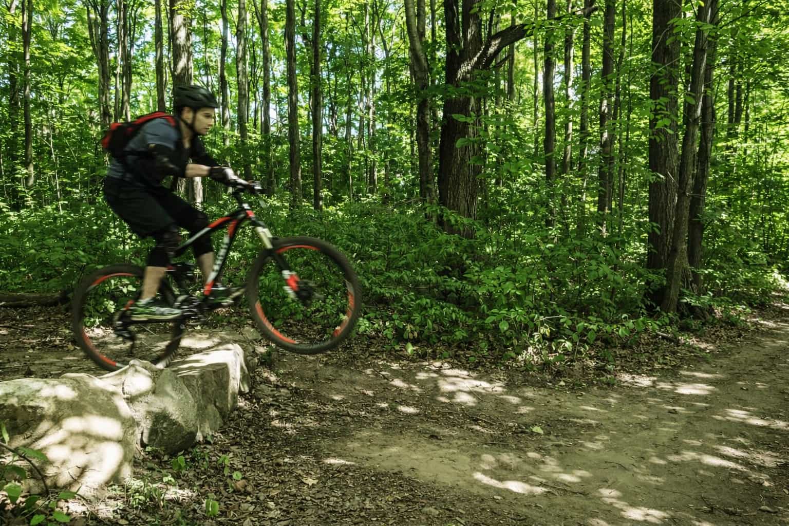 Sports physiotherapy performance training and rehabilitation